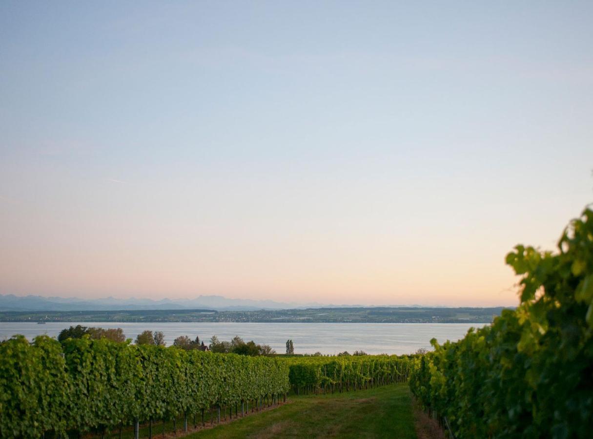 Hotel Heinzler Am See Immenstaad am Bodensee Eksteriør bilde